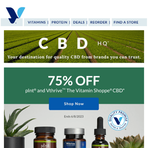 75%  off our CBD. Not a typo.🧘