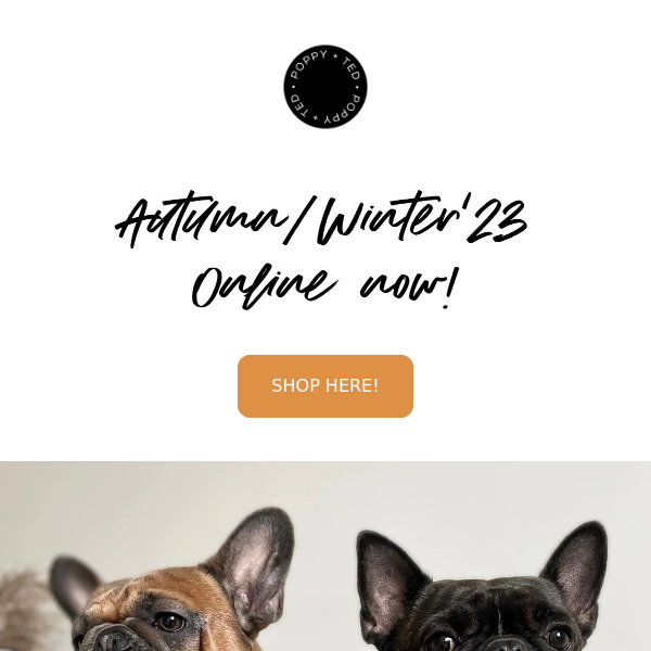 🍂 🐶 Autumn / Winter Collection is ONLINE now!