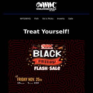 Start the Countdown for the Black Friday Flash sale