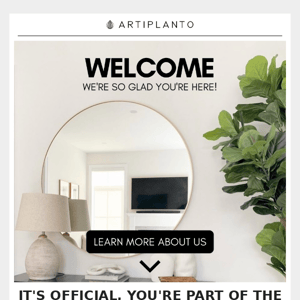 Welcome To The Artiplanto Family 🌿