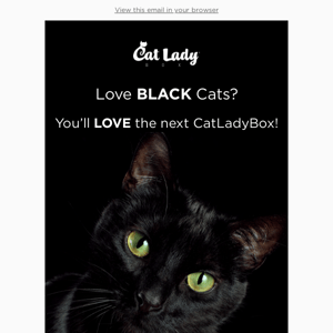 Don't Miss the Black Cats Box! 🐈‍⬛🖤