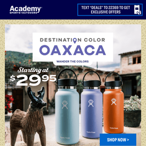 NEW Colors | Hydro Flask Oaxaca Collection