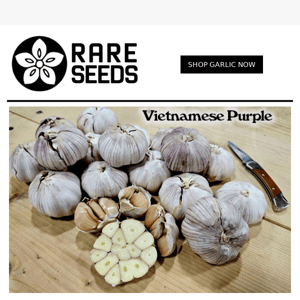 NEW Garlic Varieties IN STOCK🧄