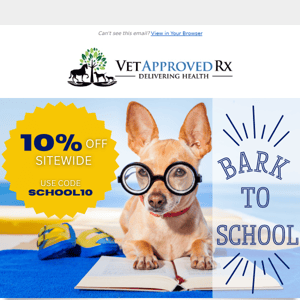 ✏️ Get ready. Get set. Get Bark to School!