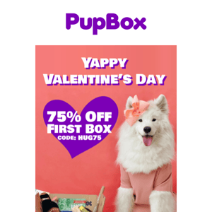 💘 Spoil your Valentine and get 75% OFF