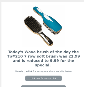🔥🔥  Brush of the day Special    🔥🔥