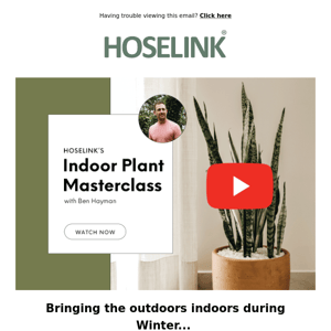 WATCH | The Ultimate Indoor Plant Guide! 🌷
