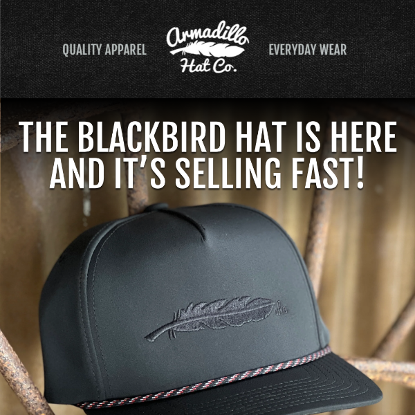 New Arrival: Blackbird Hat 🪶