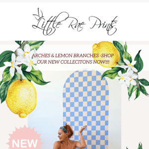 💥NEW! Arch Wall Decals, Lemon Branch & SURPRISE INSIDE💫💥
