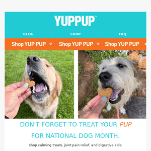 Don't forget to treat your pup!