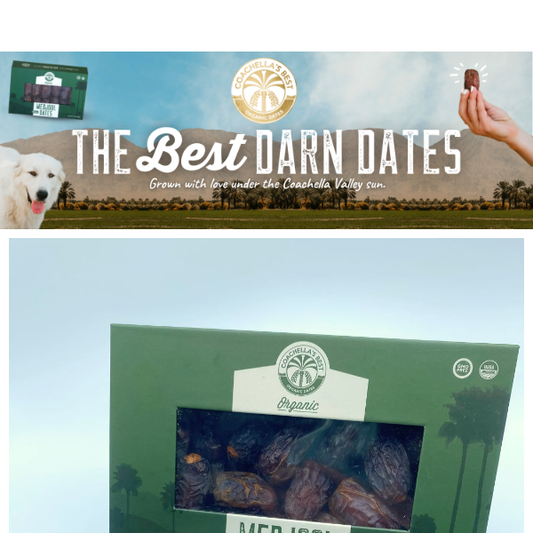 Date Trail Mix Recipe 🌰🥜 National Trail Mix Day!