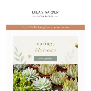 Celebrate First Day of Spring with a succulent gift!