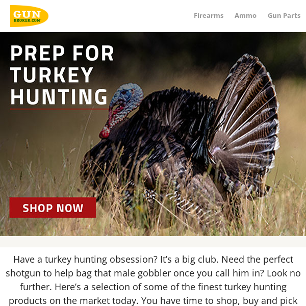 Turkey hunting is around the corner. From shotguns to blinds and camo, shop GunBroker.com for all of your needs.