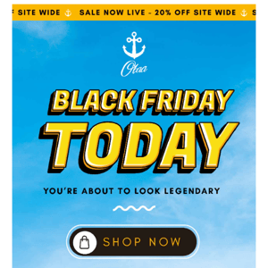 Black Friday: 20% OFF Sitewide