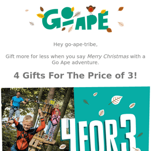 4 for 3 on Go Ape gifts