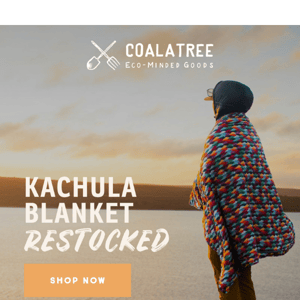 Kachula Restock Alert!