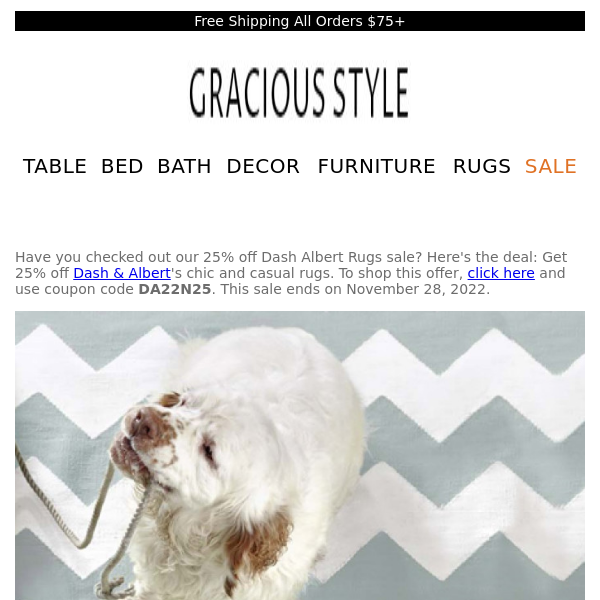 New introductions from 25% off Dash Albert Rugs | Gracious Style