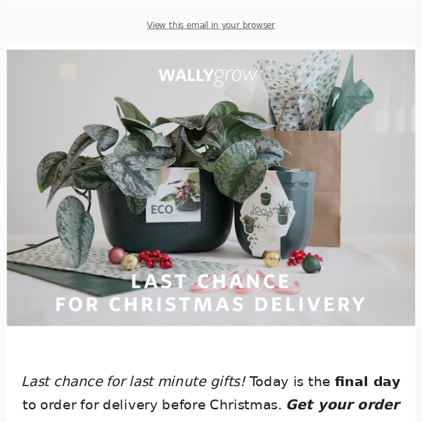 Last chance for Christmas delivery 🚚