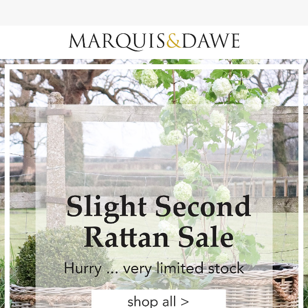 Hurry ... Slight Second Rattan Sale