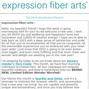 Let Your Inner Sparkle Shine, Expression Fiber Arts!