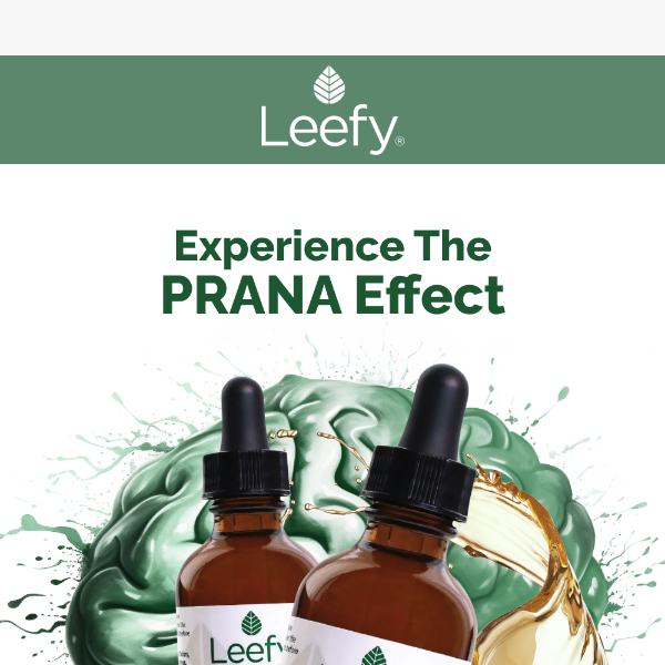 Boost Your Brain Power with PRANA by Leefy Organics 🧠✨