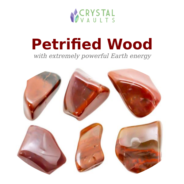 Ancient Petrified Wood Crystals Here 😍