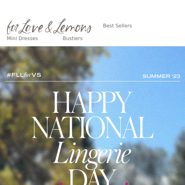 Happy National Lingerie Day - For Love & Lemons