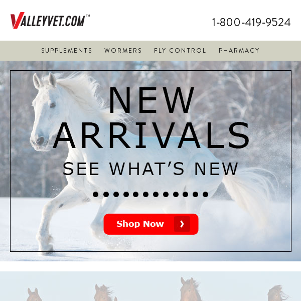 🎆 The latest and greatest horse products