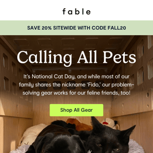 For feline friends & canine companions