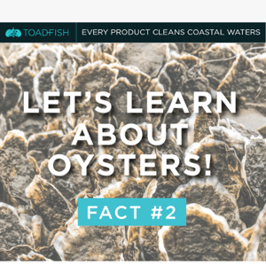 Oyster Fun Fact  🦪🤯