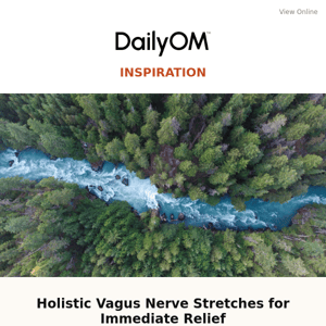 Holistic Vagus Nerve Stretches for Immediate Relief