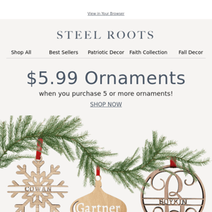 $5.99 Ornaments 😱