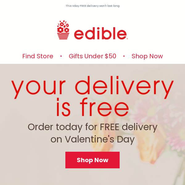 Valentine's Day FREE delivery ❤️