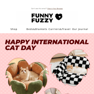 International Cat Day😽🎉🎁