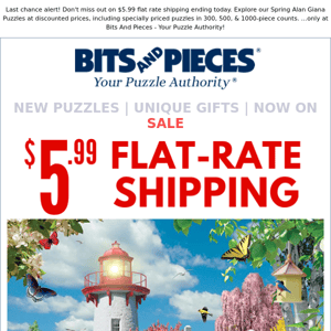 Final Day! $5.99 Shipping +  Alan Giana Puzzle Sale