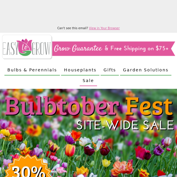 BULBTOBERFEST IS ALMOST OVER! Up To 70% Off 🌷