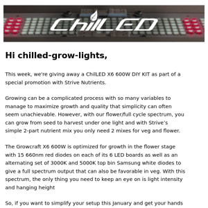 Simplify Your Grow Space in 2023 with ChilLED & Strive Nutrients