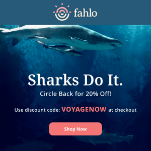 Circle Back like a Shark for 20% Off!