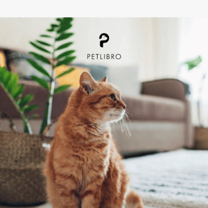 💥Win $20 Gift Card By PETLIBRO Questionnaire