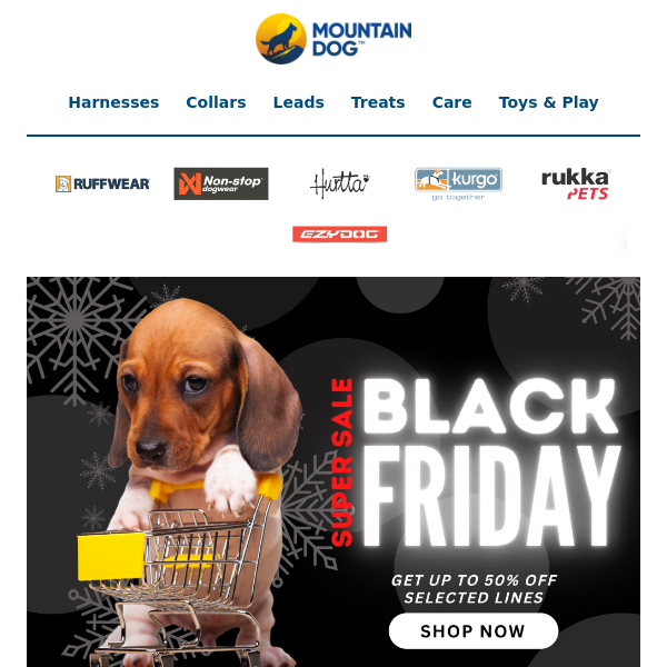 Black Friday Offers Mountain Dog Ltd