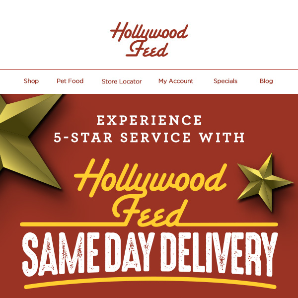 ⭐Experience 5-Star Service with Same Day Delivery! ⭐