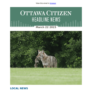 City of Ottawa's new wildlife strategy to manage coyotes not expected until fall