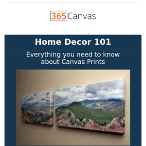 Home Decor 101 | What Is a Canvas Print 🤔