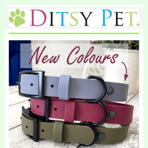 ☔ Rainy Day Offers | 20% OFF Waterproof Collars