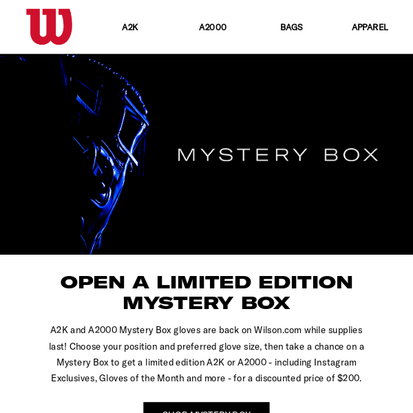 LIMITED QUANTITIES OUT NOW: $200 Mystery Box Gloves