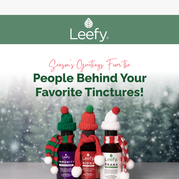 Warm Wishes & Wellness this Christmas from Leefy 🌿