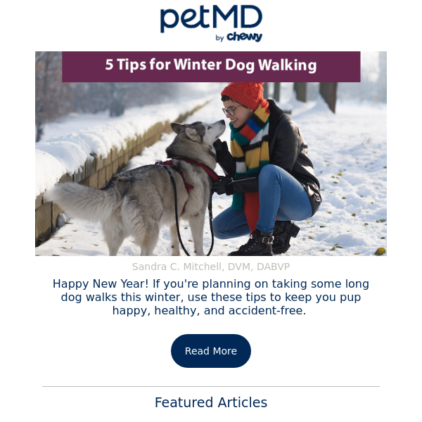 5 Tips for Walking Your Dog in the Winter