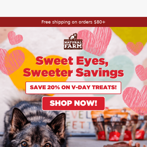 Save 20% on V-Day Treats!