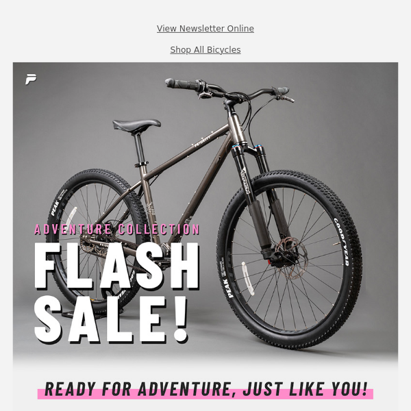 48-Hour Flash Sale: Adventure Bikes 🚲