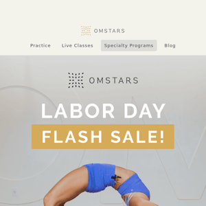 Labor Day Flash Sale ⚡